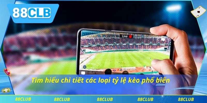 Cách Soi Kèo Châu Á 88clb Chuẩn Xác Từ Chuyên Gia Bóng Đá 3 Tìm hiểu chi tiết các loại tỷ lệ kèo phổ biến